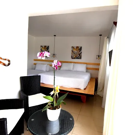 Freddy'S Place B&B-2